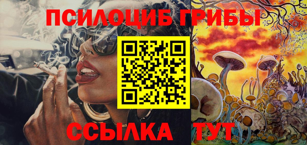 Санкт-Петербург  что такое   Псилоцибиновые грибы GOLDEN TEACHER  Вход с VPN  Псилоцибиновые грибы GOLDEN TEACHER 