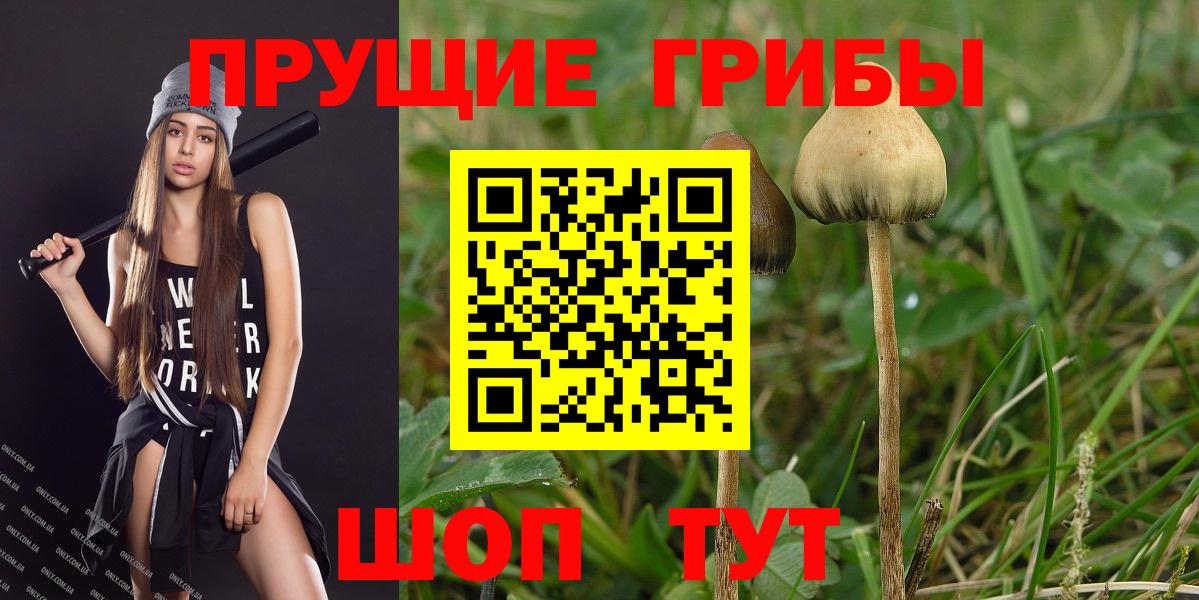 Галлюциногенные грибы мицелий Санкт-Петербург